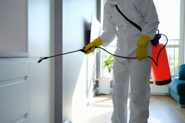 Best Crawl Space Mold Remediation in Oreana, IL