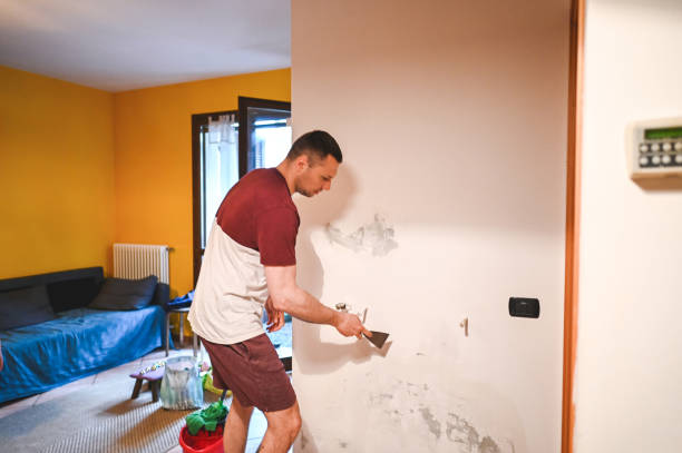 Reliable Oreana, IL Mold Remediation Solutions